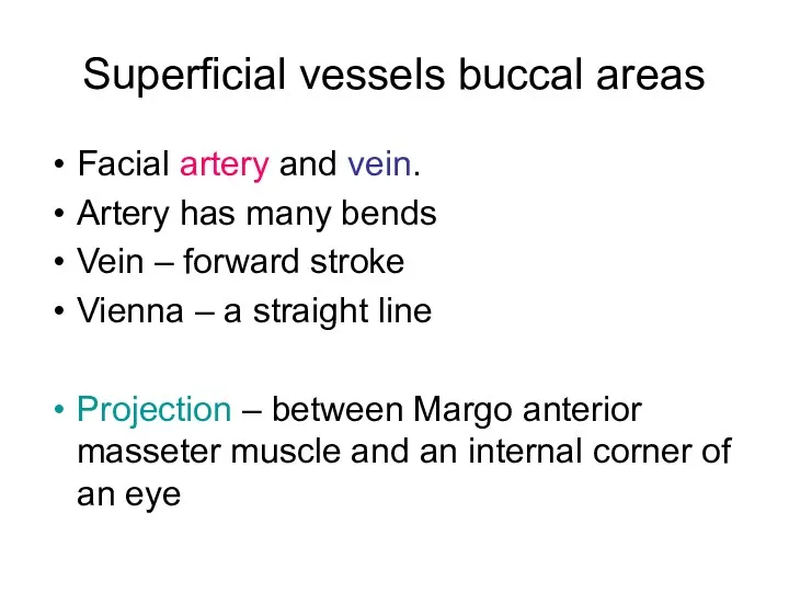 Superficial vessels buccal areas Facial artery and vеin. Artery has