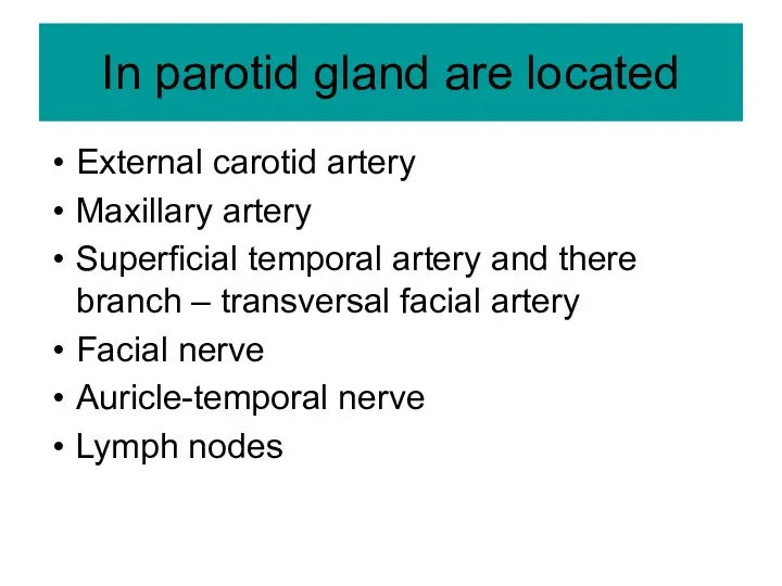 In parotid gland are located External carotid artery Maxillary artery