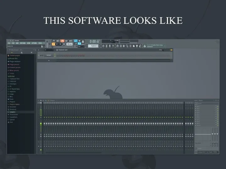 THIS SOFTWARE LOOKS LIKE