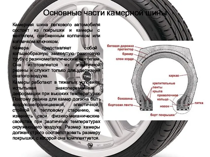 Основные части камерной шины Камерная шина легкового автомобиля состоит из