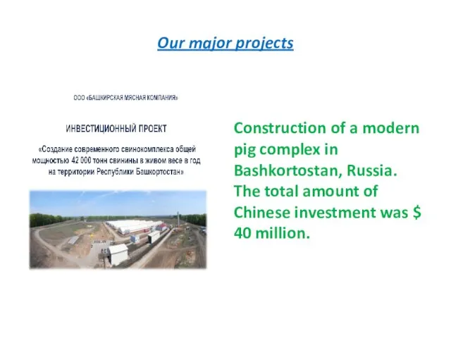 Our major projects Construction of a modern pig complex in
