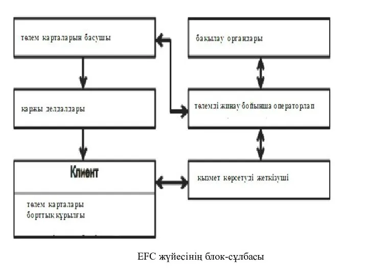 EFC жүйесінің блок-сұлбасы