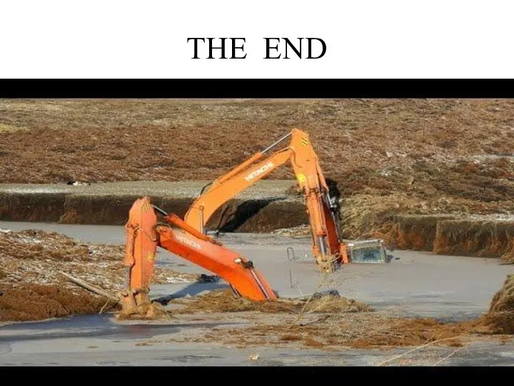 THE END