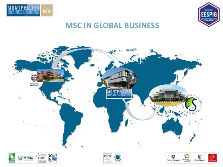 MSC IN GLOBAL BUSINESS