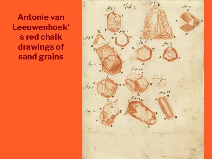 Antonie van Leeuwenhoek's red chalk drawings of sand grains