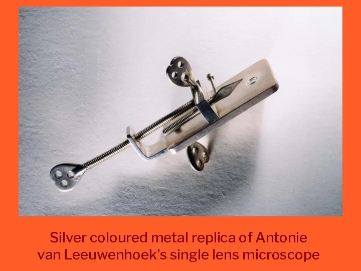 Silver coloured metal replica of Antonie van Leeuwenhoek's single lens microscope