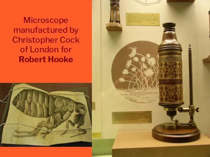 Microscope manufactured by Christopher Cock of London for Robert Hooke