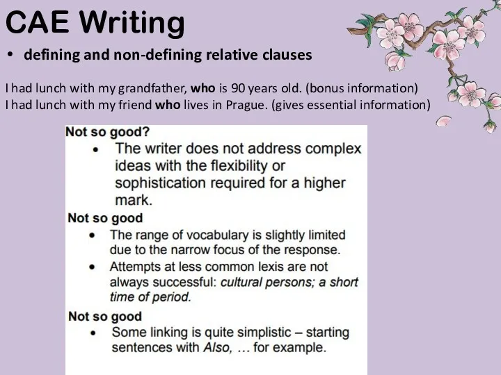 defining and non-defining relative clauses CAE Writing I had lunch with my grandfather,