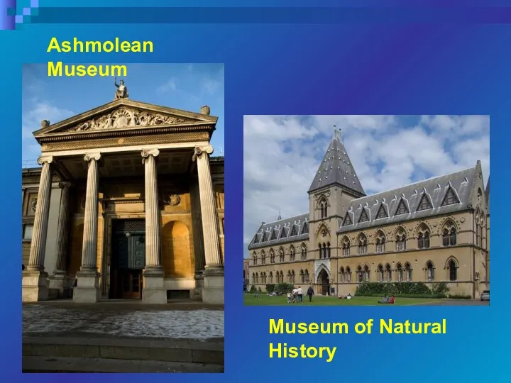 Ashmolean Museum Museum of Natural History