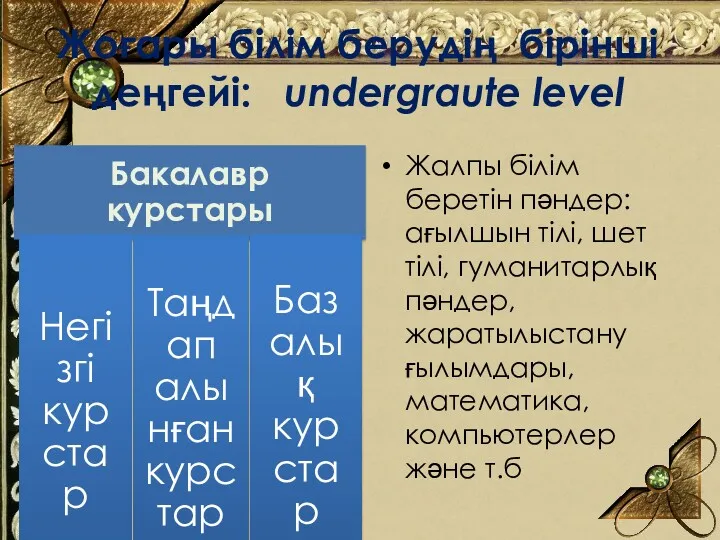 Жалпы білім беретін пәндер: ағылшын тілі, шет тілі, гуманитарлық пәндер,