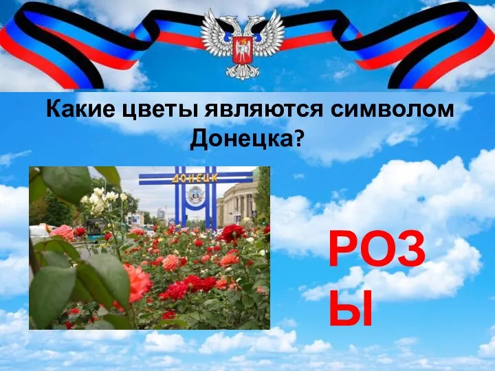 Какие цветы являются символом Донецка? РОЗЫ