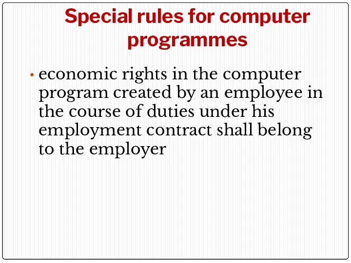 Special rules for computer programmes economic rights in the computer