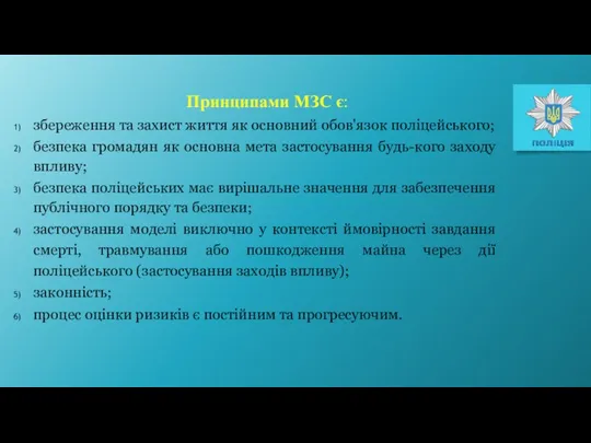 Принципами МЗС є: збереження та захист життя як основний обов'язок