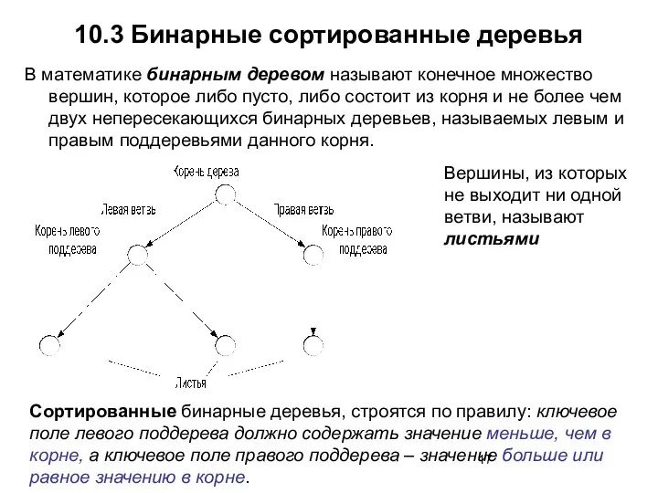 10.3 Бинарные сортированные деревья В математике бинарным деревом называют конечное множество вершин, которое