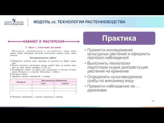 МОДУЛЬ 10. ТЕХНОЛОГИИ РАСТЕНИЕВОДСТВА Провести исследование культурных растений и оформить