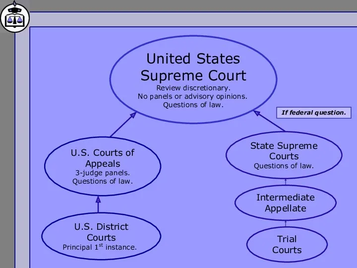 United States Supreme Court Review discretionary. No panels or advisory