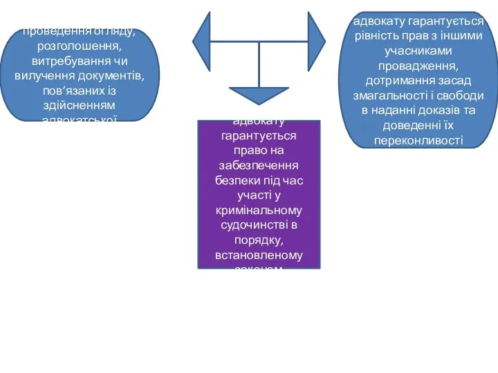 адвокату гарантується право на забезпечення безпеки під час участі у