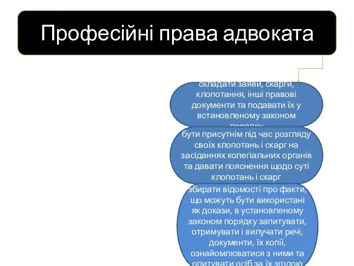 Професійні права адвоката складати заяви, скарги, клопотання, інші правові документи