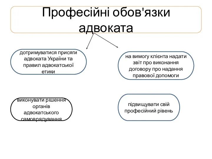 Професійні обов'язки адвоката дотримуватися присяги адвоката України та правил адвокатської