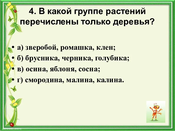 4. В какой группе растений перечислены только деревья? а) зверобой,