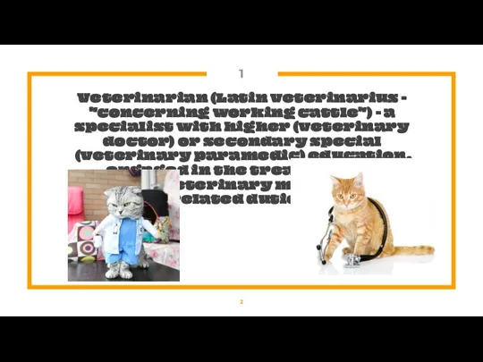 1 Veterinarian (Latin veterinarius - "concerning working cattle") - a specialist with higher