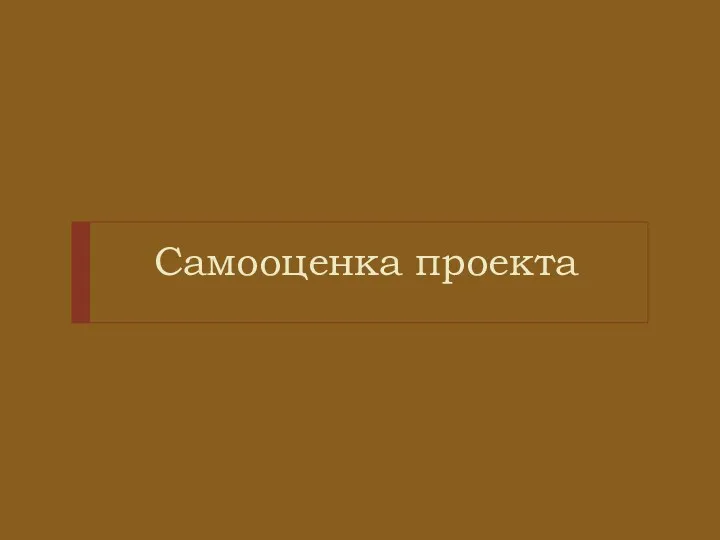 Самооценка проекта