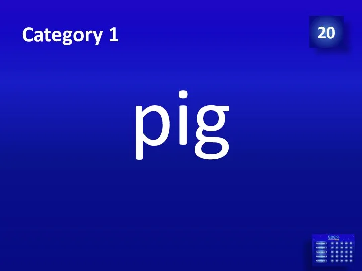 Category 1 pig 20