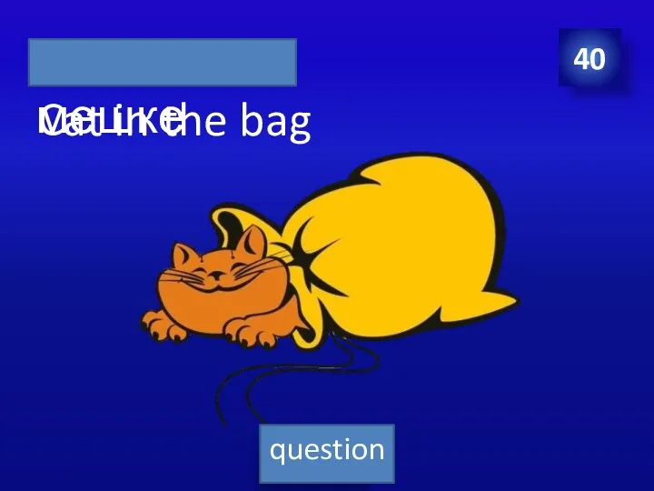 40 Cat in the bag question