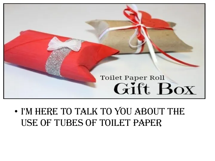 I'm here to talk to you about the use of tubes of toilet paper