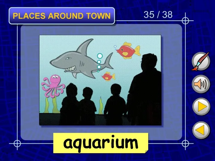 35 / 38 aquarium