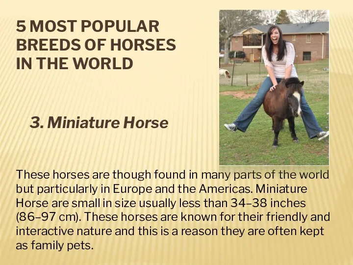 5 MOST POPULAR BREEDS OF HORSES IN THE WORLD 3.