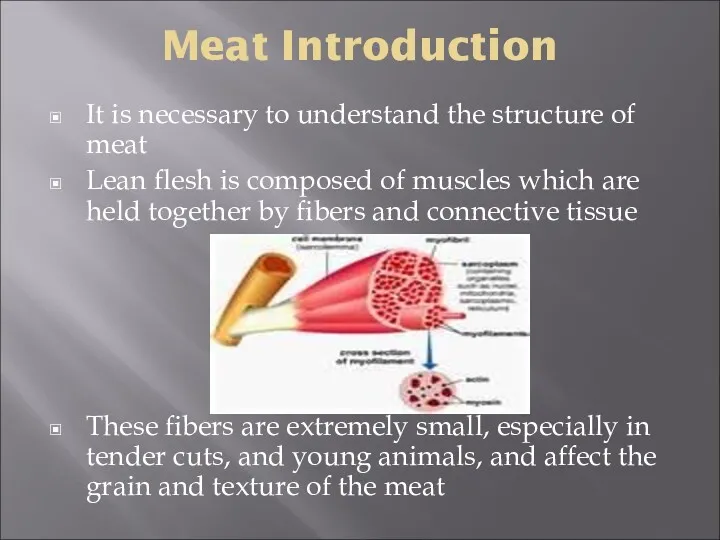 Meat Introduction It is necessary to understand the structure of