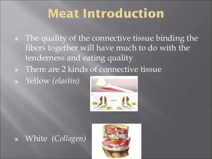 Meat Introduction The quality of the connective tissue binding the