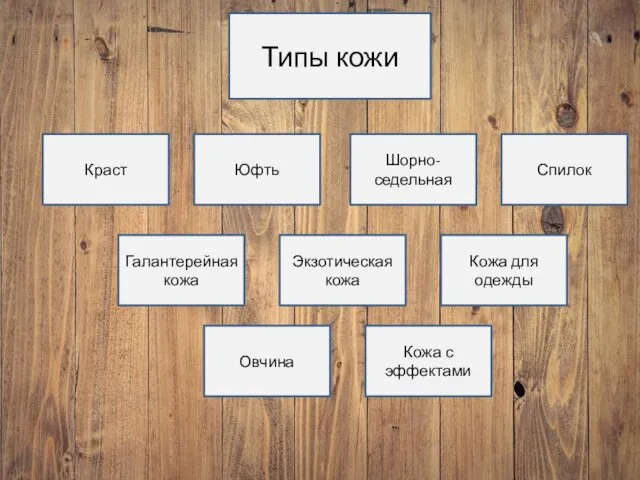 Типы кожи Краст Экзотическая кожа Шорно-седельная Юфть Галантерейная кожа Овчина