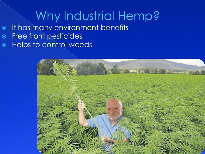 Why Industrial Hemp? It has many environment benefits Free from pesticides Helps to control weeds