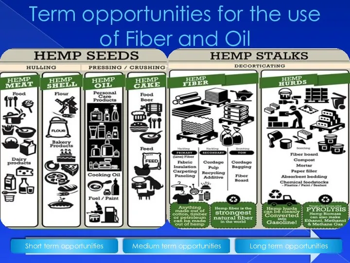 Term opportunities for the use of Fiber and Oil