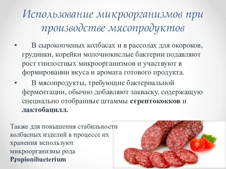 Использование микроорганизмов при производстве мясопродуктов В сырокопченых колбасах и в