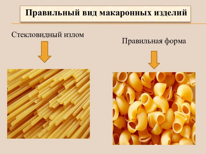 Правильный вид макаронных изделий Стекловидный излом Правильная форма