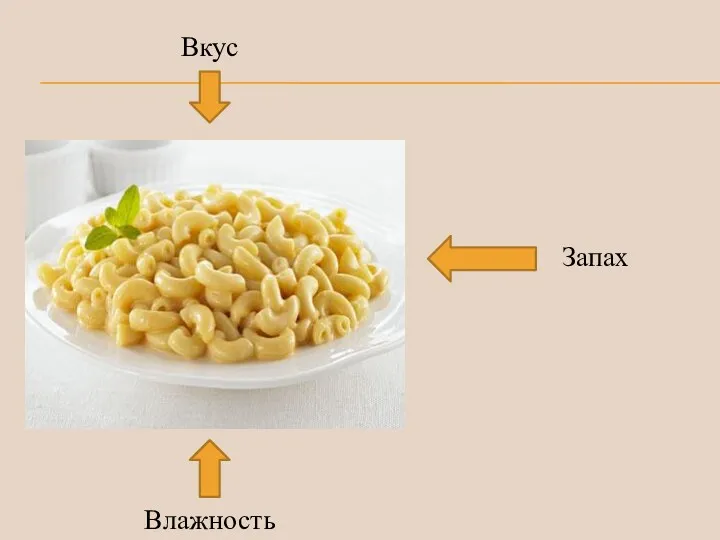 Вкус Запах Влажность