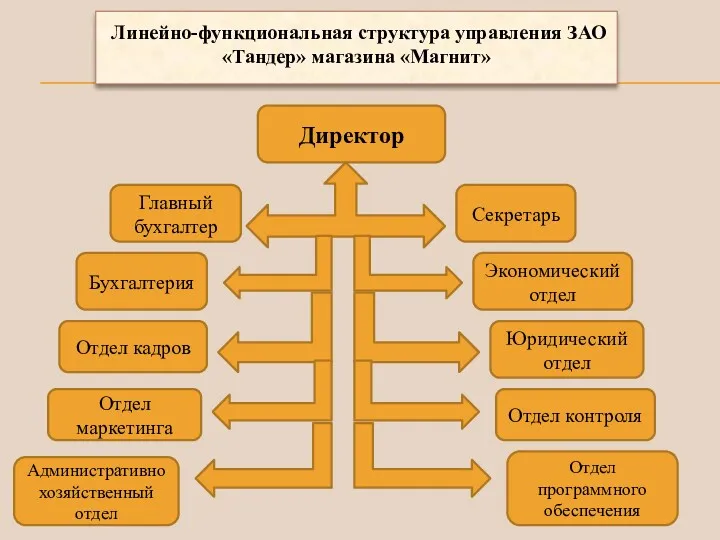 Линейно-функциональная структура управления ЗАО «Тандер» магазина «Магнит» Директор Главный бухгалтер