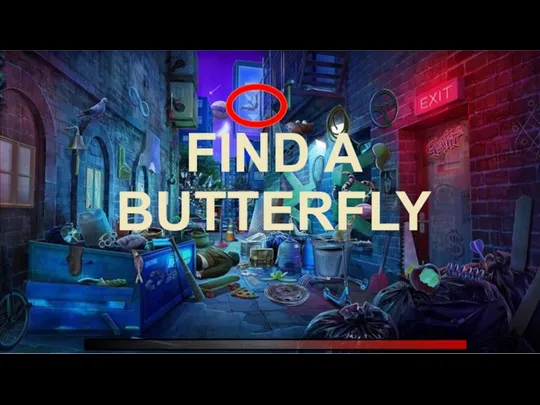 FIND A BUTTERFLY