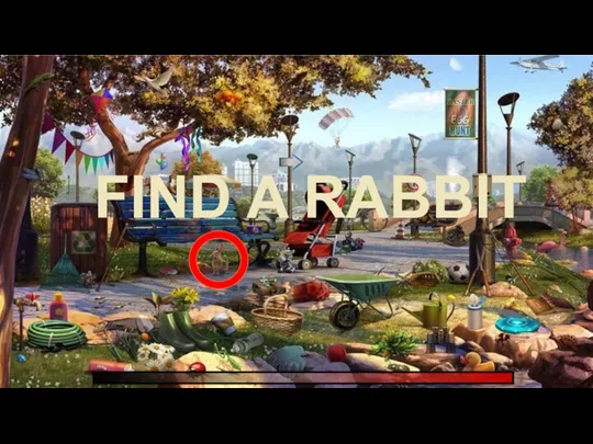 FIND A RABBIT