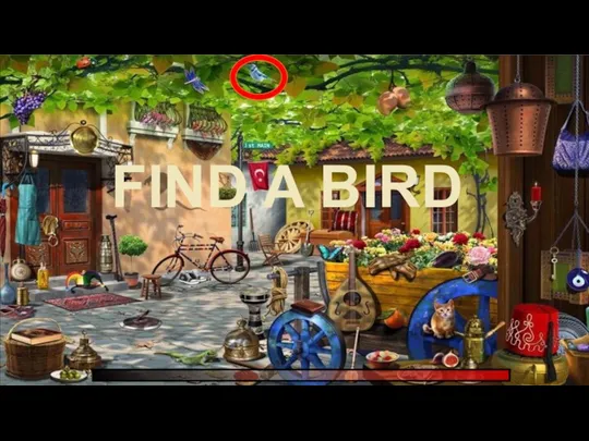 FIND A BIRD