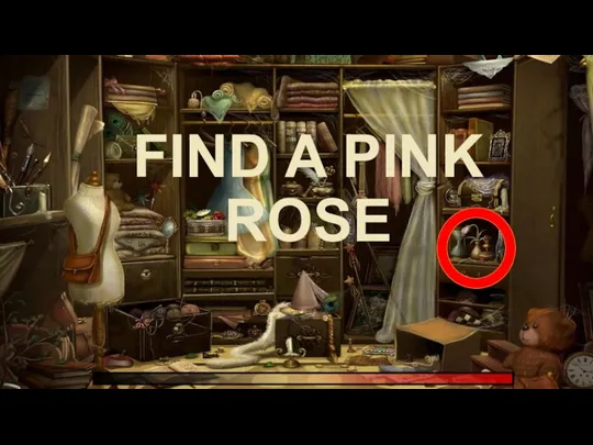 FIND A PINK ROSE