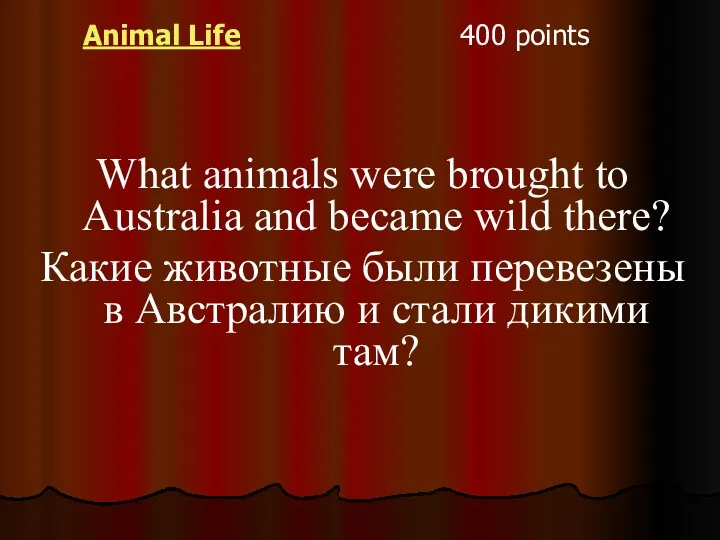 Animal Life 400 points What animals were brought to Australia and became wild