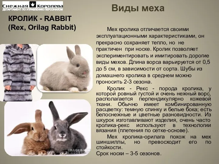 Виды меха КРОЛИК - RABBIT (Rex, Orilag Rabbit) Мех кролика