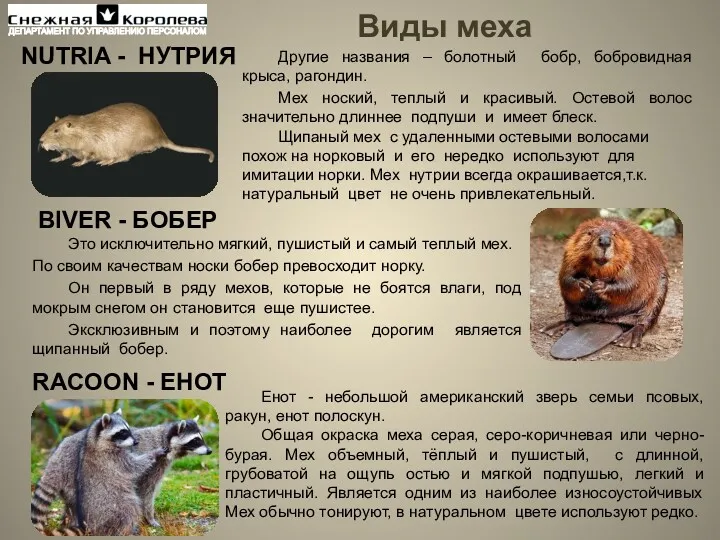 NUTRIA - НУТРИЯ Виды меха BIVER - БОБЕР RACOON - ЕНОТ