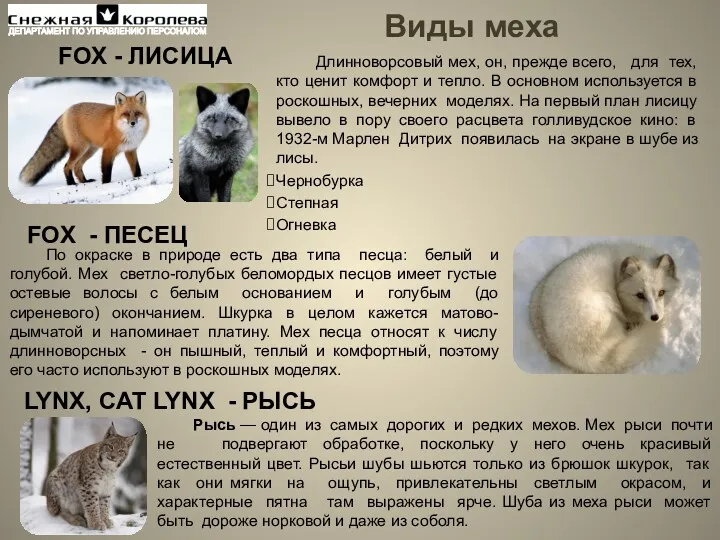 Виды меха FOX - ЛИСИЦА FOX - ПЕСЕЦ LYNX, CAT LYNX - РЫСЬ