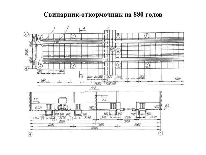 Свинарник-откормочник на 880 голов