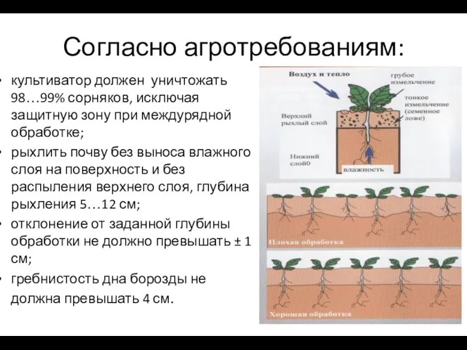Согласно агротребованиям: культиватор должен уничтожать 98…99% сорняков, исключая защитную зону